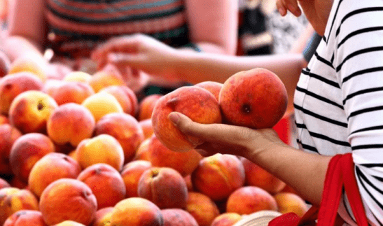 کیفیت بهتر میوه­های organic