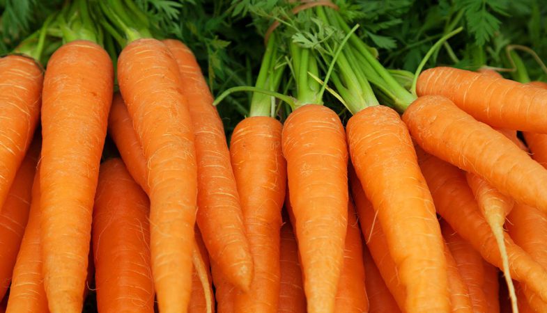 هویج و دور کردن بیماری ها از بدن با مصرف آن